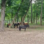 Pensjonat Pałac Ogartowo Połczyn-Zdrój