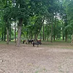 Pensjonat Pałac Ogartowo Połczyn-Zdrój