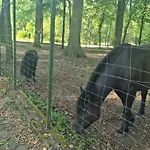 Pensjonat Pałac Ogartowo