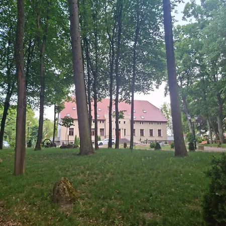 Palac Ogartowo 3*