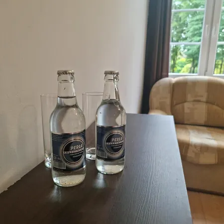 Palac Ogartowo Guest house *