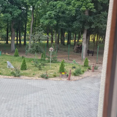 Palac Ogartowo 3*