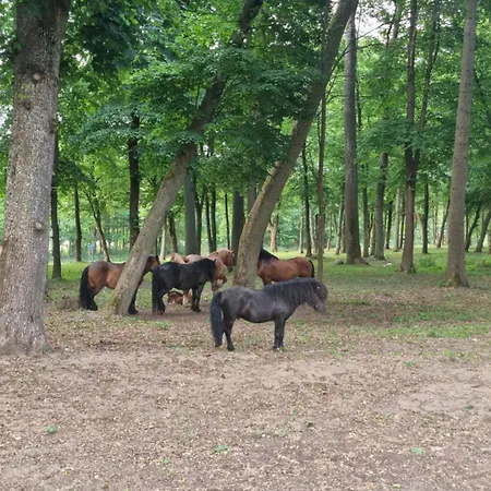 בית הארחה Palac Ogartowo Połczyn-Zdrój