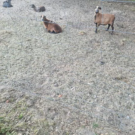 בית הארחה Palac Ogartowo Połczyn-Zdrój