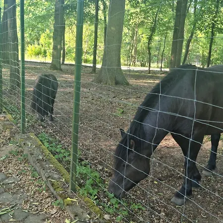 בית הארחה Palac Ogartowo