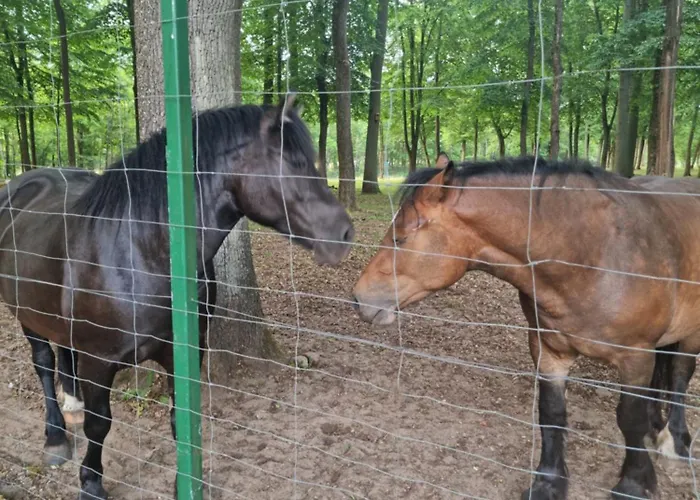 Maison d'hôtes Palac Ogartowo