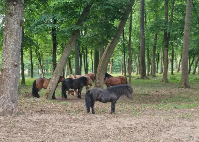 Maison d'hôtes Palac Ogartowo Połczyn-Zdrój