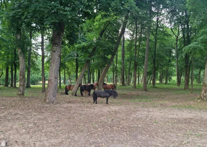 Maison d'hôtes Palac Ogartowo Połczyn-Zdrój
