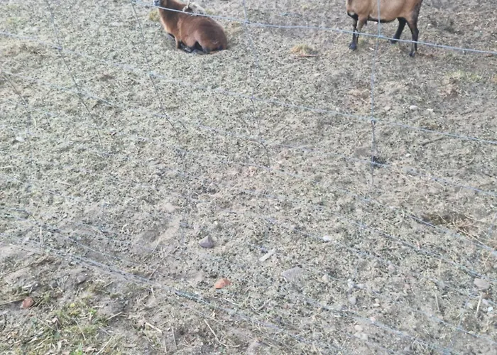 Maison d'hôtes Palac Ogartowo Połczyn-Zdrój