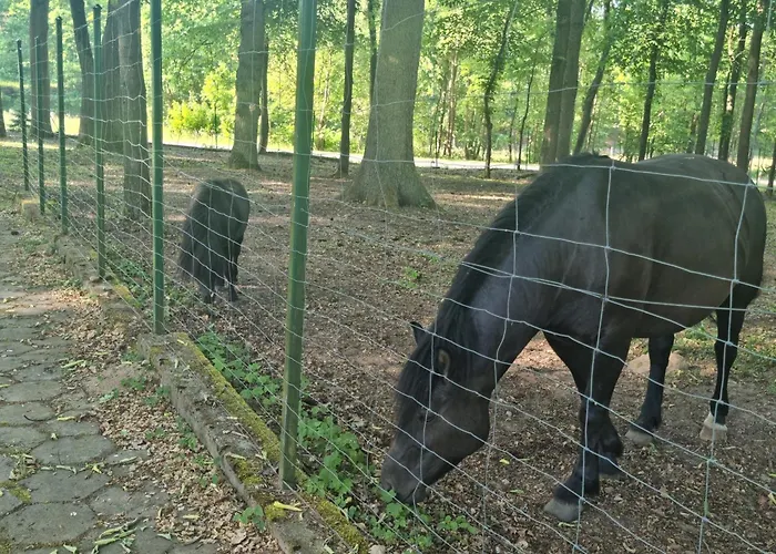 Maison d'hôtes Palac Ogartowo